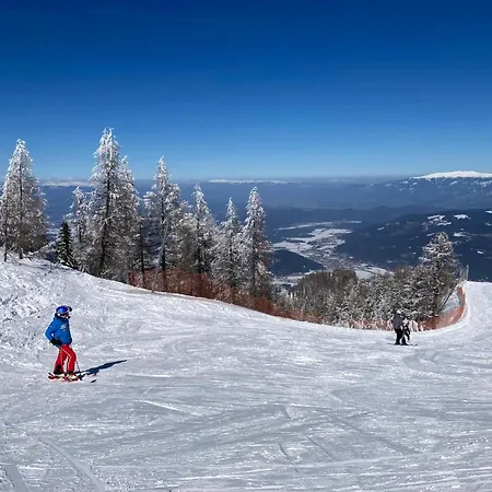 Διαμέρισμα Mmapartment Feistritz ob Bleiburg