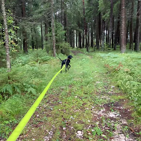Mmapartment Feistritz ob Bleiburg