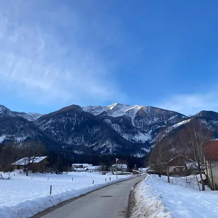 Lejlighed Mmapartment Feistritz ob Bleiburg
