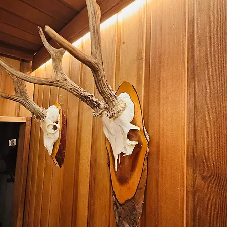 Mmapartment * Feistritz ob Bleiburg